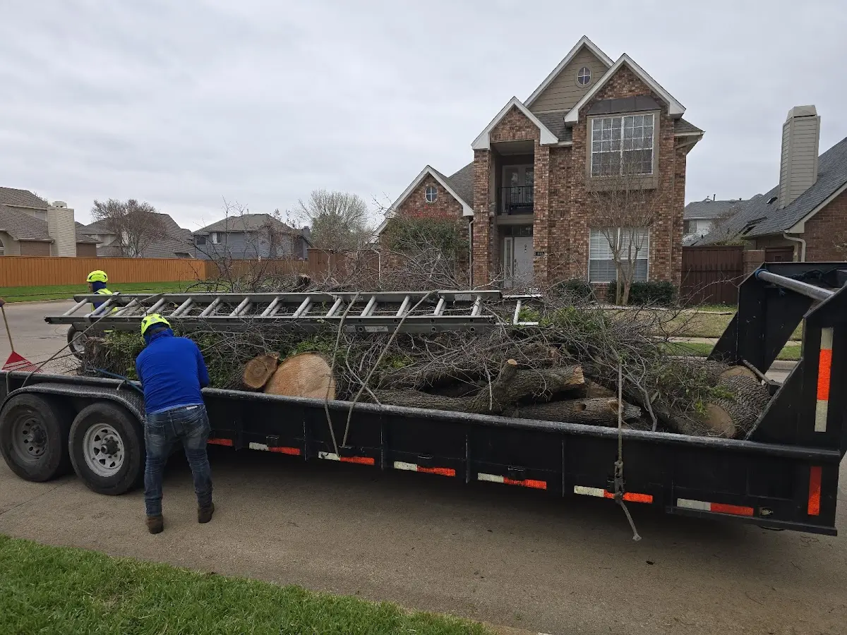 Expert Tree Pest Control with proper safety equipment in Gulfport